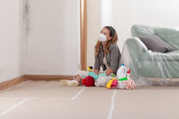 Reliable Basement Mold Remediation contractor in Geneva, FL by WQB Mold Removal